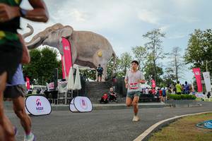 BIB: 
                            <button type="button" onclick="openModal(26528765)" class="btn btn-primary btn-sm float-right btn-popup" data-toggle="modal" data-target=".modal-high-quality">
                        <i class="fas fa-shopping-cart"></i> Add to Cart
                    </button>
                                            <button type="button" onclick="isThisMe(26528765, true)" class="btn btn-success btn-sm float-right btn-popup btn-isme hidden" data-toggle="tooltip" data-placement="bottom" title="นี่คือรูปของคุณใช่ไหม คลิกที่นี่เพื่อเอาเข้าอัลบั้ม">
                        <i class="fas fa-plus"></i> Add to album
                    </button>
                    <button type="button" onclick="isThisMe(26528765, false)" class="btn btn-warning btn-sm float-right btn-popup btn-isnotme hidden">
                        <i class="fas fa-ban"></i> Remove from album
                    </button>